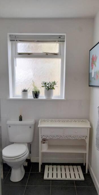 The Flower House, Idyllic Cornish Retreat. Apartamento Saint Erth Exterior foto