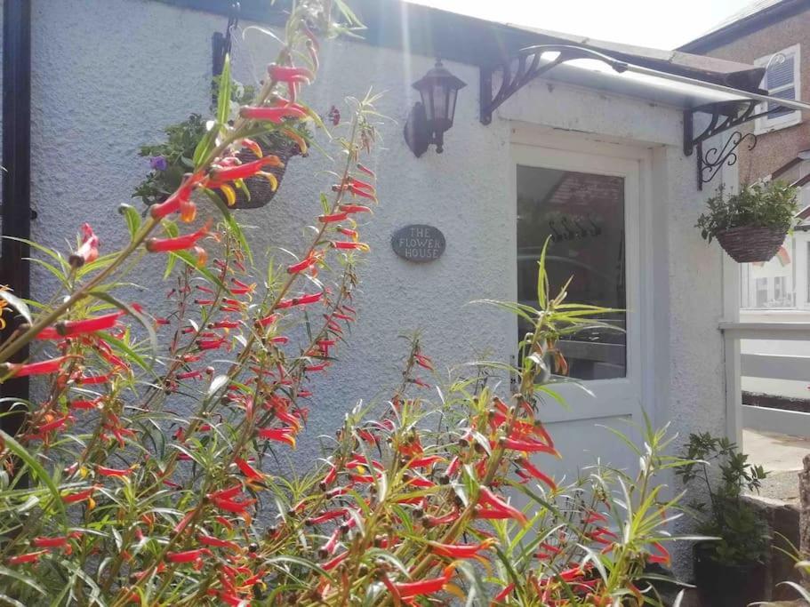 The Flower House, Idyllic Cornish Retreat. Apartamento Saint Erth Exterior foto